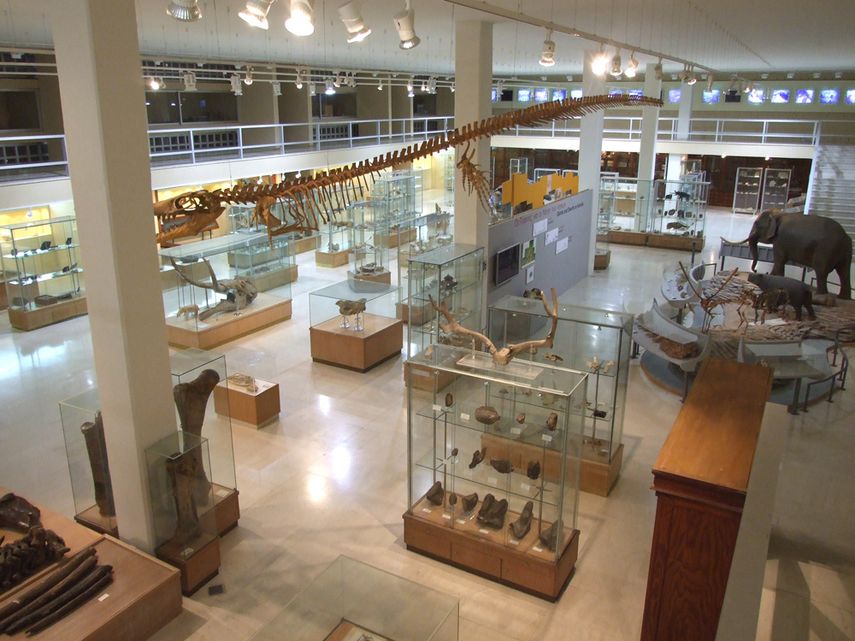 Ανοικτό το Μουσείο Παλαιοντολογίας και Γεωλογίας του Πανεπιστημίου Αθηνών αυτό το Σαββατοκύριακο :: left.gr